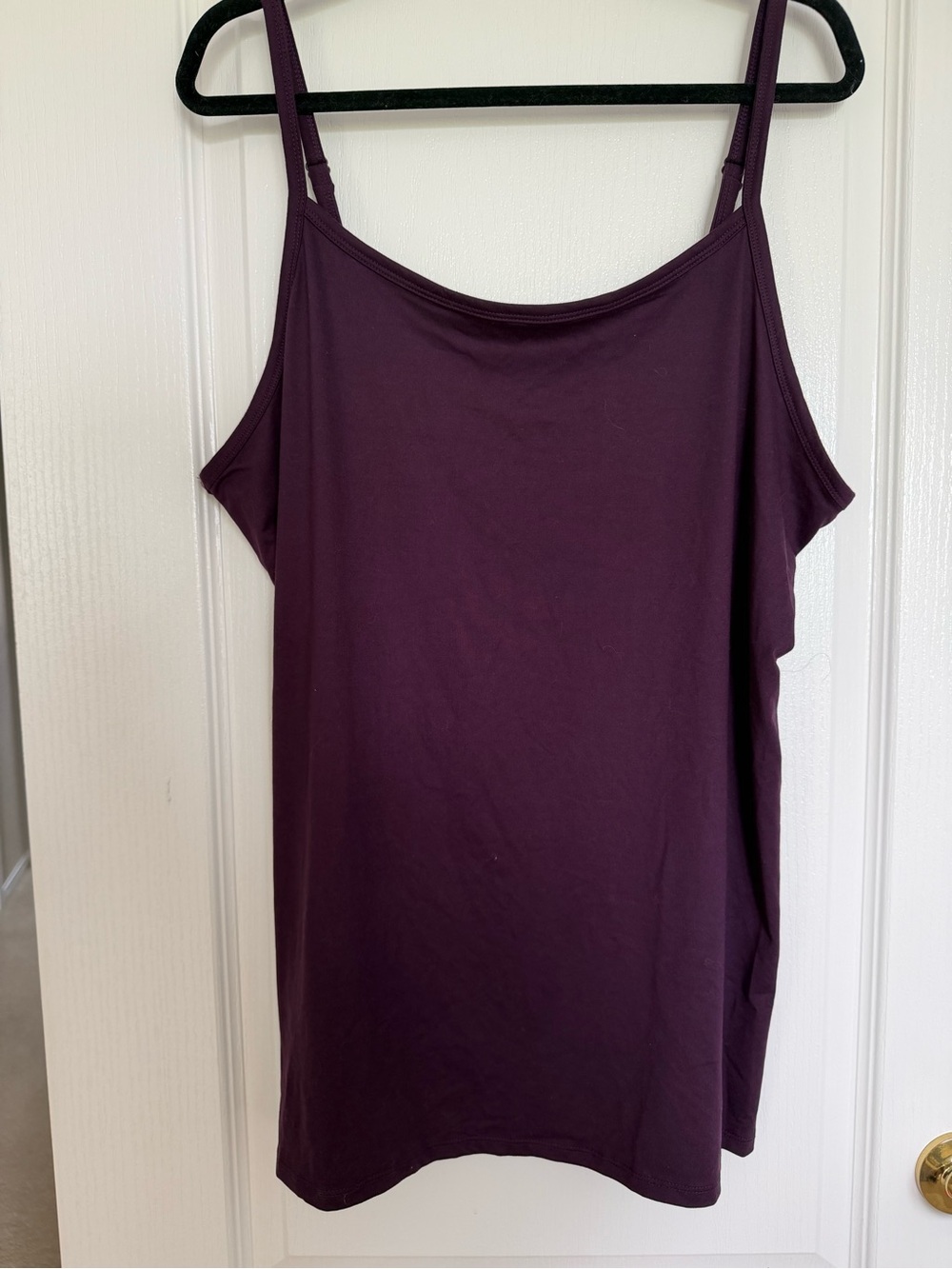Terra & Sky Plum Spaghetti Strap Camisole